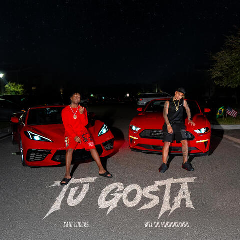 Tu Gosta