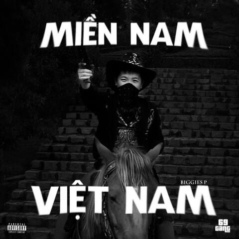 Miền Nam Việt Nam