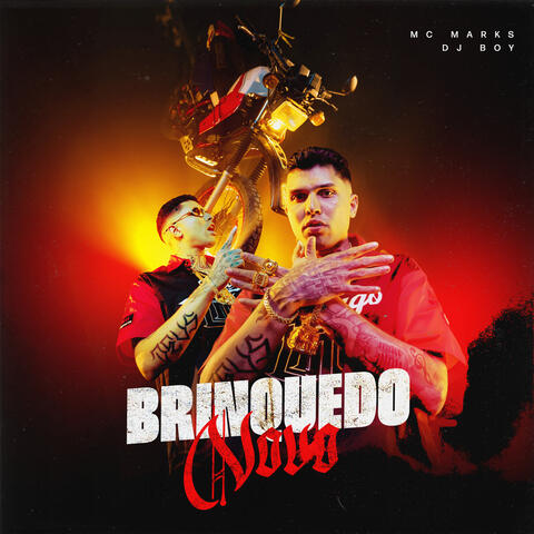 Brinquedo Novo