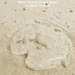 Womb Sounds Brown Noise Loopable No Fade