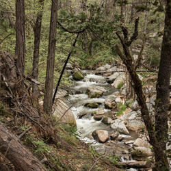 Gentle Calming River Sounds