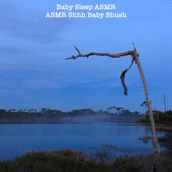 Asmr Shhh Baby Shush
