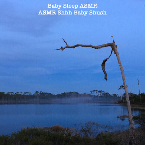 Asmr Shhh Baby Shush