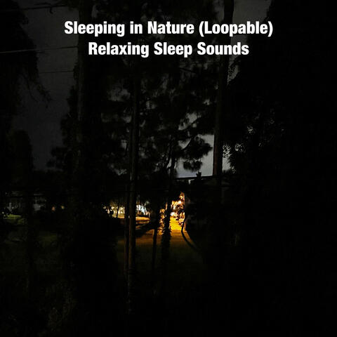 Sleeping in Nature