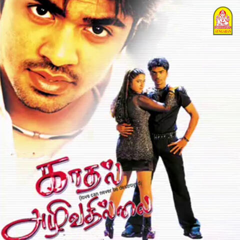 Kadhal Azhivathillai
