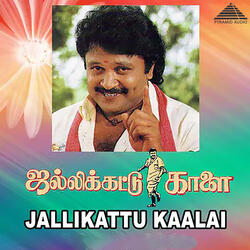 Nimmathi Enna Vilai