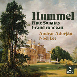 Hummel: Flute Sonata in A Major, Op. 64: I. Allegro con garbo