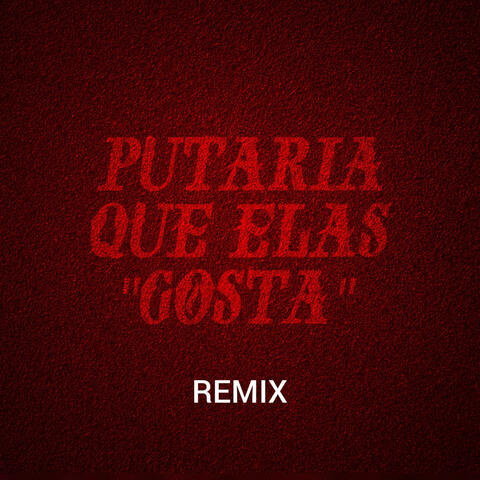 Putaria Que Elas Gosta Remix