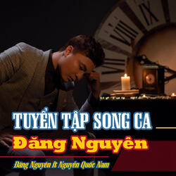 Nỗi Buồn Hoa Phượng (feat. Thanh Linh)
