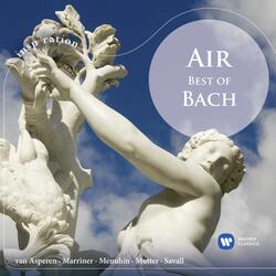 Bach, JS: Violin Concerto No. 1 in A Minor, BWV 1041: I. —