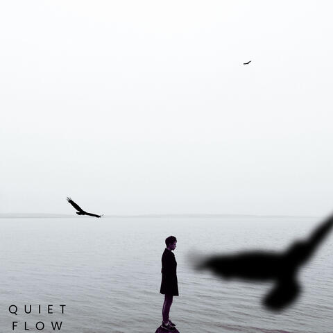 Quiet Flow