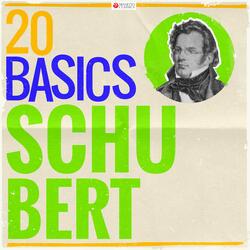 Symphony No. 9 in C Major, D. 944: II. Andante con moto