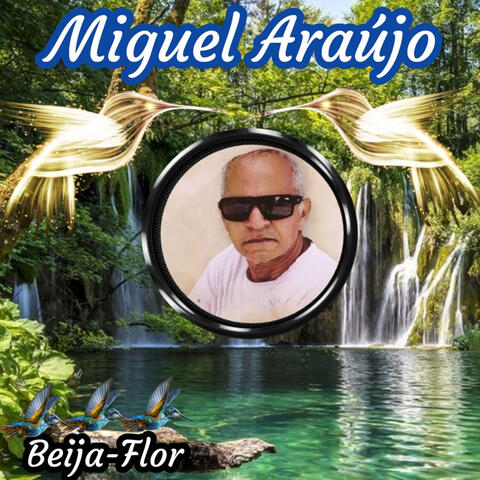 Beija-Flor
