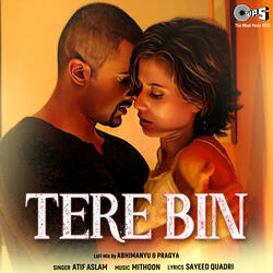 Tere Bin (Lofi Mix)