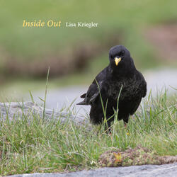 Inside Out