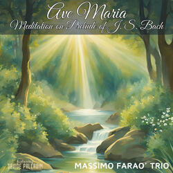 Ave Maria, Meditation on Prelude of Johann Sebastian Bach (feat. Davide Palladin)