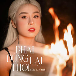 Phải Dừng Lại Thôi - Lofi