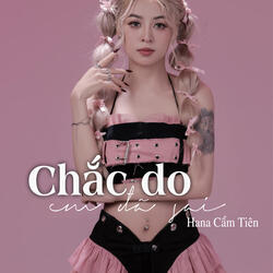 Chắc Do Em Đã Sai - Lofi