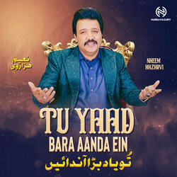 Tu Yaad Bara Aanda Ein