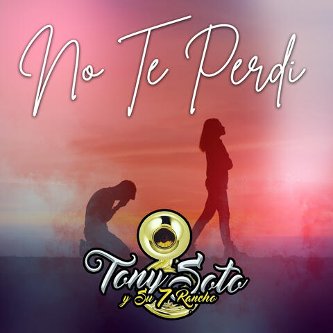 No Te Perdí