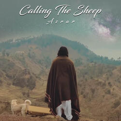 Calling The Sheep