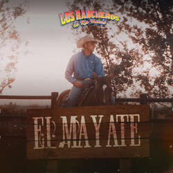 El Mayate