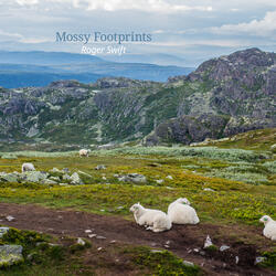 Mossy Footprints