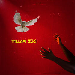 Tallafi Zuci