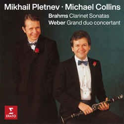 Brahms: Clarinet Sonata No. 1 in F Minor, Op. 120 No. 1: III. Allegretto grazioso