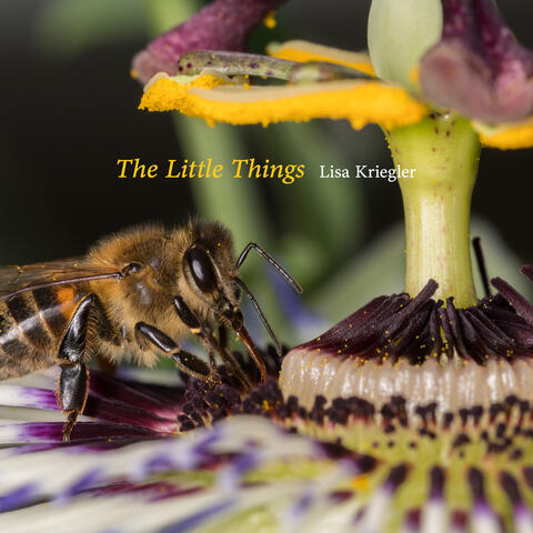 The Little Things