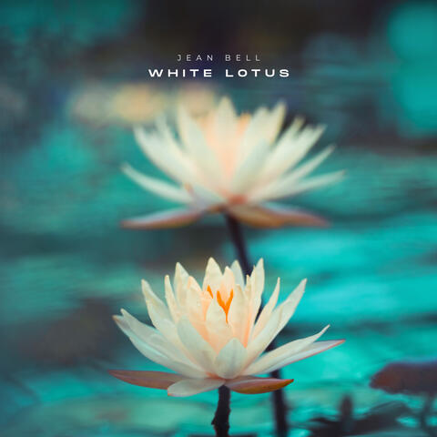 White Lotus
