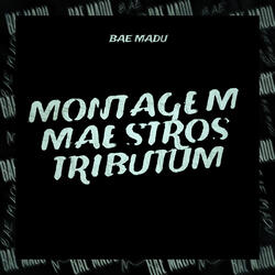 Montagem Maestros Tributum
