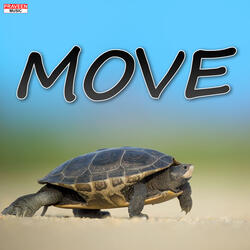 MOVE