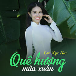 Liên Khúc Rước Tình Về Với Quê Hương (feat. Lê Minh Trung & Nguyễn Phú Quí)
