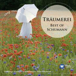 Schumann: Symphony No. 1 in B-Flat Major, Op. 38 "Spring": III. Scherzo. Molto vivace