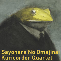 I've Just See A Face（YUMENOHITO）