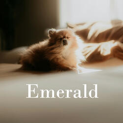 The Emperor’s Concerto