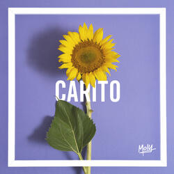 Carito
