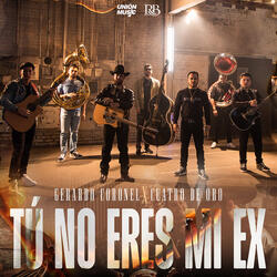 Tú No Eres Mi Ex