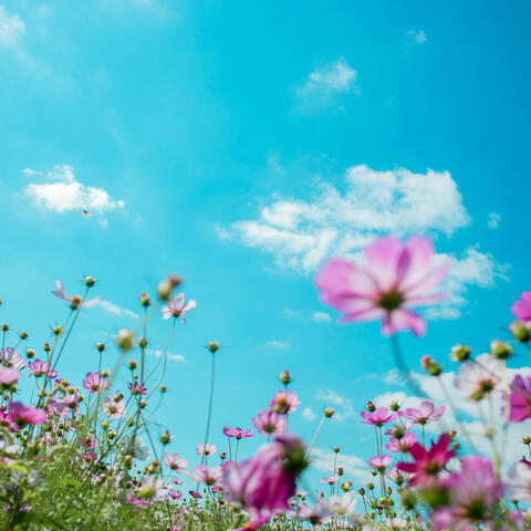 warmness