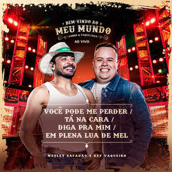Você Pode Me Perder / Tá na Kara / Diga Pra Mim / Em Plena Lua de Mel