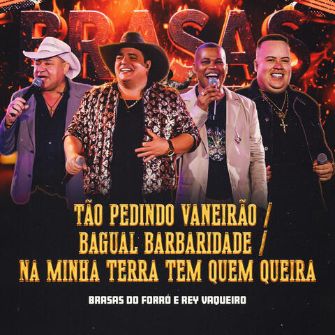 Tão Pedindo Vaneirão / Bagual Barbaridade / Na Minha Terra tem Quem Queira