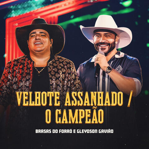 Velhote Assanhado / O Campeão