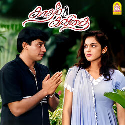 Alai Meethu Vilayadum