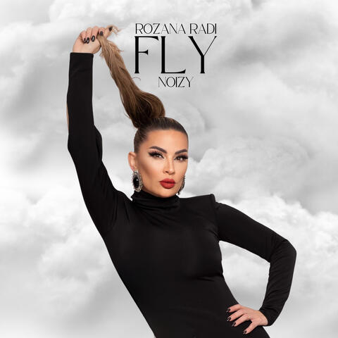 Fly