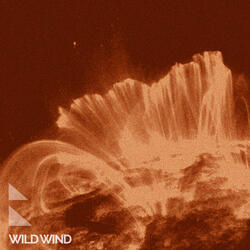 Wild Wind