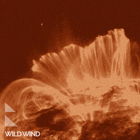Wild Wind