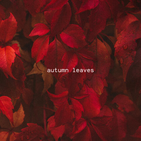 Autumn Leaves