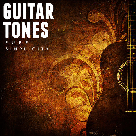 Guitar Tones Pure Simplicity
