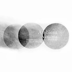 Audio Fields
